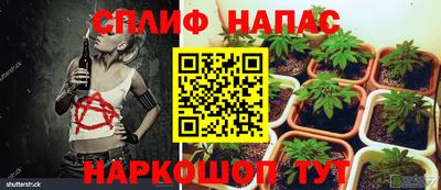 гашик Кумертау