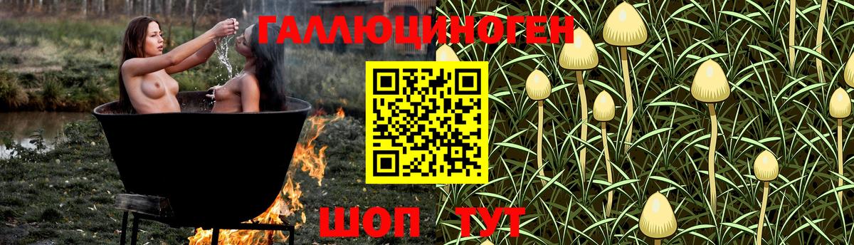 Псилоцибиновые грибы ЛСД Елизово